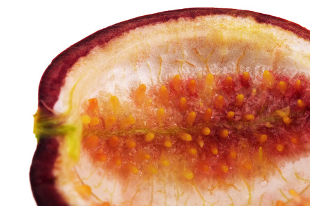 Empty Passion fruit isolated on white background with clipping pathの写真素材