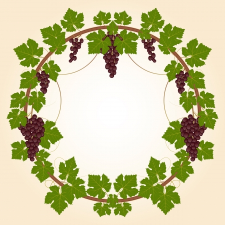 Grape frameのイラスト素材