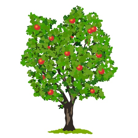 Apple tree vector illustrationのイラスト素材