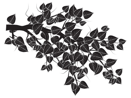 Tree branch silhouetteのイラスト素材