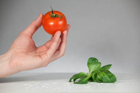 Tomato and salad in the kitchenの写真素材
