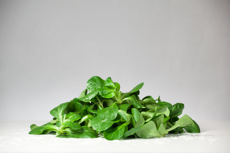 salad in the kitchenの写真素材