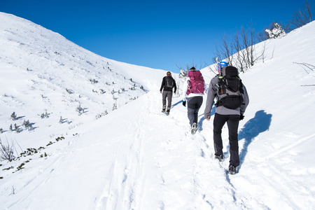 group walking on snowy mountainsの写真素材