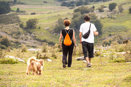 man and woman and dog on a summer walk in the mountainsの写真素材