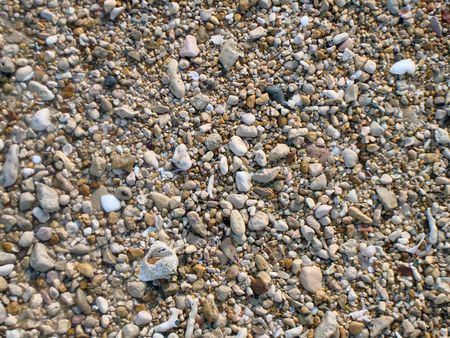 small stones on the beach                     の写真素材