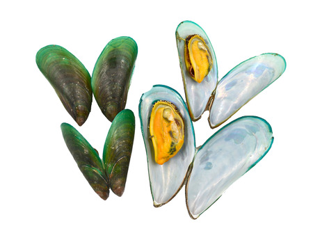 Fresh Mussels