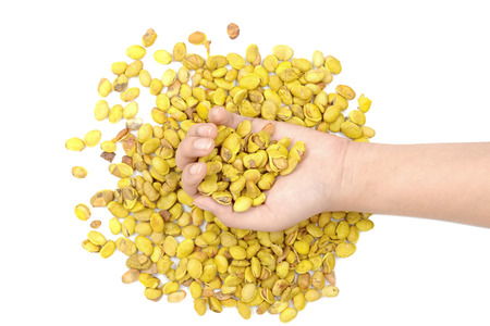 Lablab purpureus bean