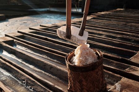 Salt production in Amed, Bali, salt in a basket, Garam, close upの写真素材