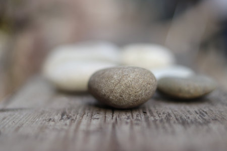 Beautiful round stones lie on a wooden floor, close-up, blurred background. High quality photoの写真素材