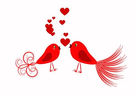 red bird wild fun feather natureの写真素材