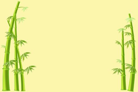 green bamboo nature background Japanese cultureの写真素材