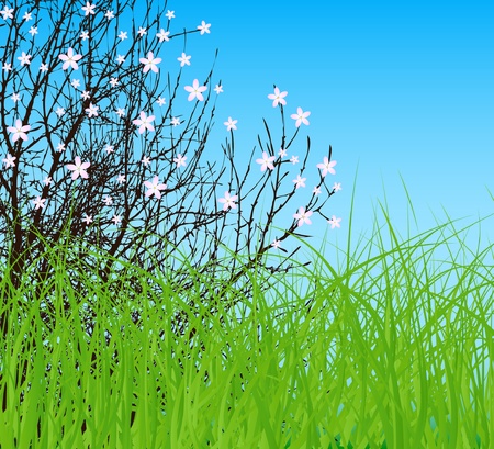 vector tree with flower at spring green field and blue skyのイラスト素材