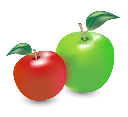 red and green apple on white backgroundのイラスト素材