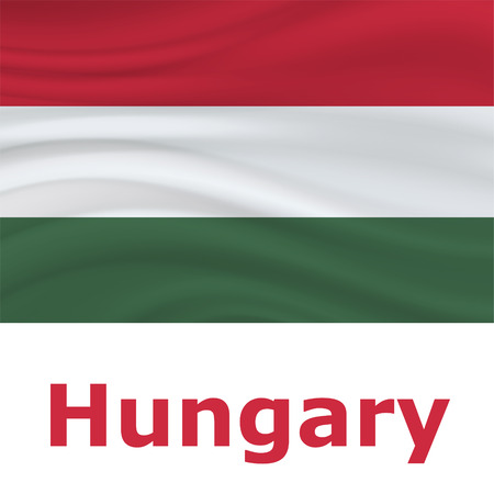 20 August, Hungary Independence Day background in national flag color theme. Hungary National Day. Celebration banner with waving flag. Vector illustrationのイラスト素材