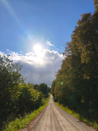 Country road in the forest with sunbeams and clouds in the skyの写真素材