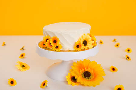 Cake smash setup with sunflower theme and bright vibrant yellow background