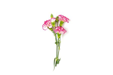 bouquet of pink carnation flower isolated on white background Top view Flat lay Holiday card 8 March, Happy Valentines day, Mothers, Memorial, Teachers day concept Copy space.の写真素材