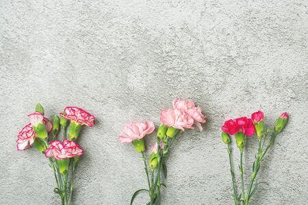 bouquet of pink carnation flower on gray concrete background Top view Flat lay Holiday card 8 March, Happy Valentines day, Mothers, Memorial, Teachers day concept Copy space.の写真素材
