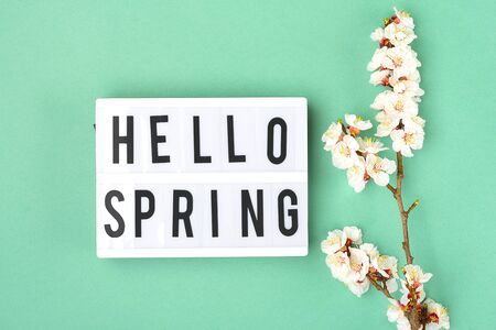 Sprigs of the apricot tree with flowers, lightbox with text Hello spring on light green background. The concept of spring came.の写真素材