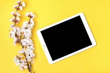 Bouquet of sprigs of apricot tree with flowers, white tablet on yellow background. Place for text. Flat lay Mock up.の写真素材