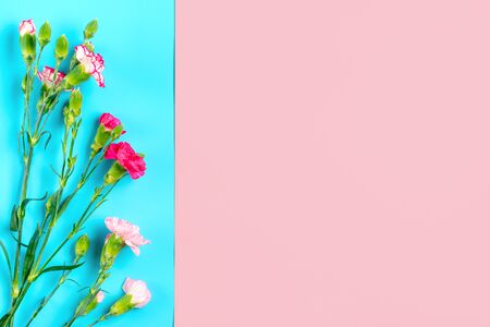 bouquet of different pink carnation flowers on double colorful background Top view Flat lay Holiday card 8 March, Happy Valentine's day, Mother's day concept.の写真素材