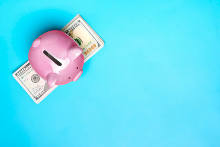 pink piggy bank on dollars banknote background Buying, sale, investment, banking, loan, insurance concept Flat lay Top view Business and finance.の写真素材