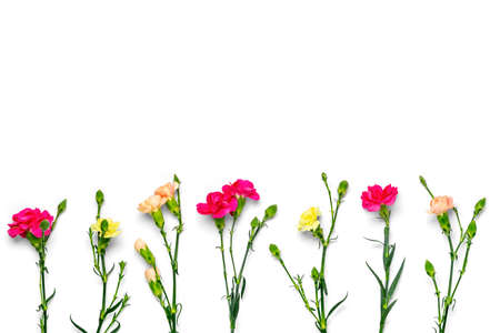 bouquet of pink carnation flower isolated on white background Top view Flat lay Holiday card 8 March, Happy Valentines day, Mothers, Memorial, Teachers day concept Copy spaceの写真素材