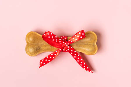 bone for dogs with red bow isolated on pink background Top view Flat lay Delicious treat for your beloved pet Food for animals concept.の写真素材