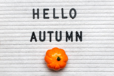 Felt boar with text Hello autumn, pumpkin on orange color background Top view Flat lay Seasonal concept Hello September, October, Novemberの写真素材