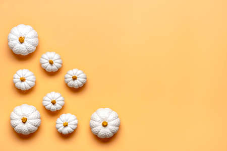 Orange, white pumpkin and maple leaves isolated on beige background Top view Flat lay Hello autumn, happy thanksgiving concept Holiday cardの写真素材