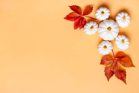 Orange, white pumpkin and maple leaves isolated on beige background Top view Flat lay Hello autumn, happy thanksgiving concept Holiday cardの写真素材