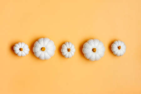 Orange, white pumpkin and maple leaves isolated on beige background Top view Flat lay Hello autumn, happy thanksgiving concept Holiday card.の写真素材