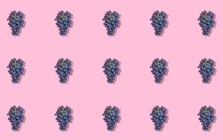 Natural organic black juicy grapes on trend pink background Top View Flat Lay. rustic style. Country...