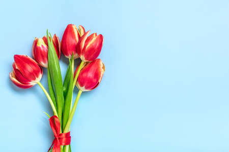 Bouquet of red tulips on blue background Top view Flat lay Holiday greeting card Happy moters day, 8 March, Valentines day, Easter concept Copy space Mock up.の写真素材