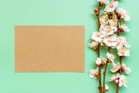 Sprigs of apricot tree with flowers on green background Place for text. The concept of spring came, happy easter, mothers day Top view Flat lay Copy space.の写真素材