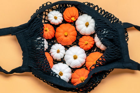 Orange, white pumpkin and maple leaves in mesh bag isolated on beige background Top view Flat lay Hello autumn, happy thanksgiving concept Holiday card.の写真素材