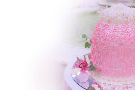 Colorful large pink cake with white roses on the background of the fountain.の写真素材