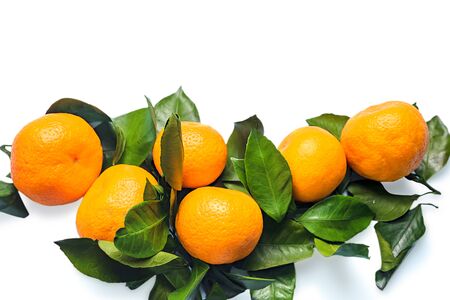 Tangerines with leaves on white background. Juicy sweet tangerines.の写真素材
