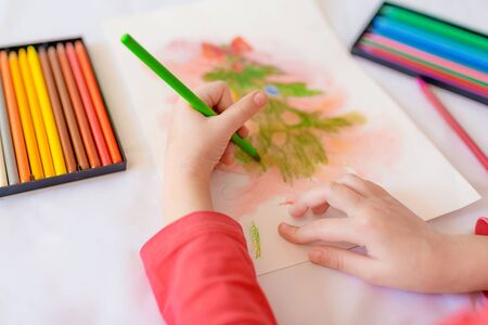 Children's hands on a white table drawing Christmas tree with colored pencils. Drawing a Christmas tree with pencilsの写真素材