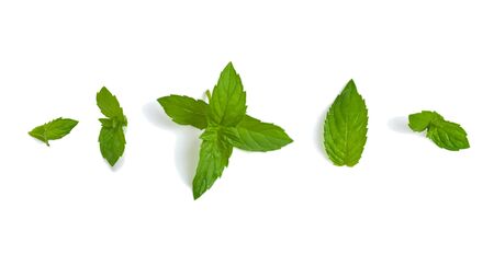 Fresh mint leaves. Mint on isolated white background.の写真素材