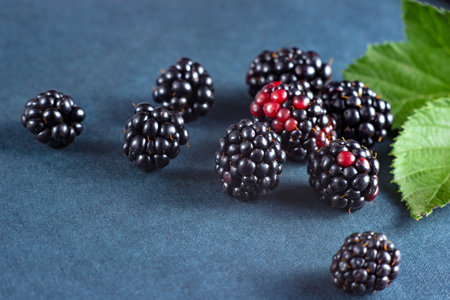 Fresh blackberries, close-ups on a dark background with a green leaf.の写真素材