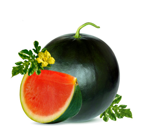 Ripe watermelon next to a sliced red slice and a yellow flowerの写真素材