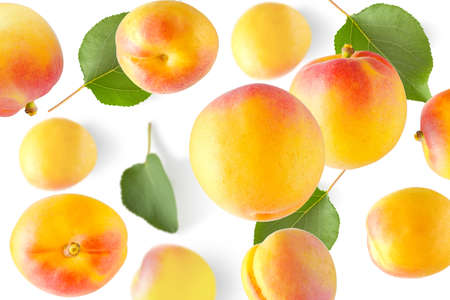 Randomly falling apricots. Isolated apricots on a white background.の写真素材