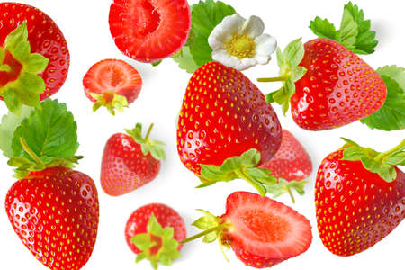 Randomly falling strawberries on a white backgroundの写真素材