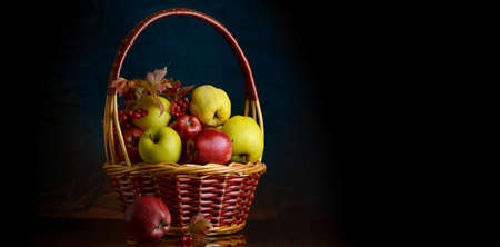 Basket with fruits of apples, quince and viburnum, a place for textの写真素材