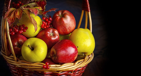 Basket with fruits of apples, quince and viburnum, a place for textの写真素材