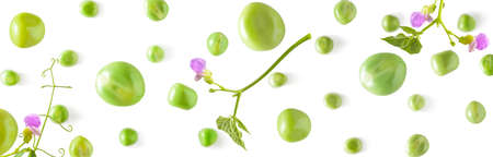 Falling peas on a white background. Scattered peas on a light background