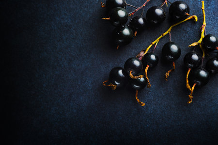 Black currant on a dark blue backgroundの写真素材