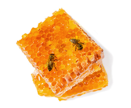 Honeycomb with honey and bees.の写真素材