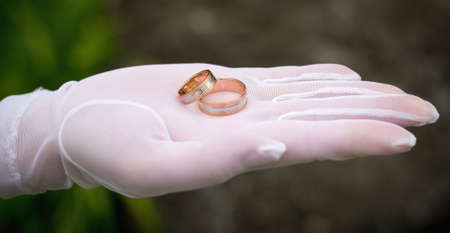 Wedding rings on hand palm in white to gloveの写真素材